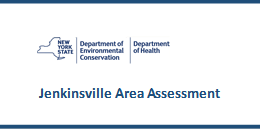 https://www.queensbury.net/jenkinsville-area-assessment/